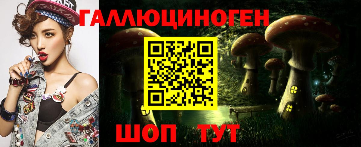 Артём  Галлюциногенные грибы Cubensis  Вход с VPN 